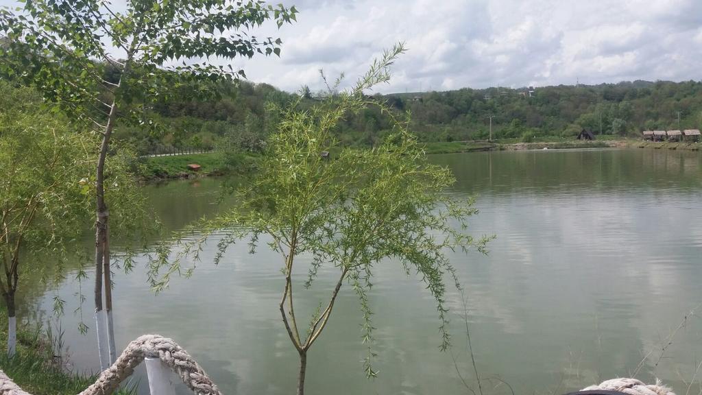 Pensiunea Dely_Cios วาเลนี เด มุนเต ภายนอก รูปภาพ